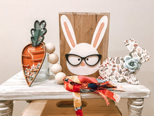 Load image into Gallery viewer, Mini Bunny with Glasses
